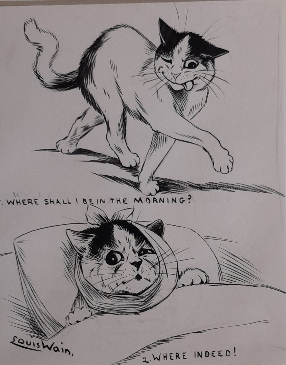 Зарисовки с котом Питером