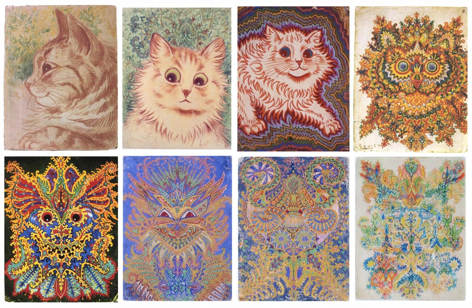The famous "kaleidoscopic cats"